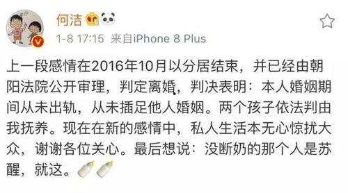 三哥儿子爆料视频大全,揭秘家庭生活幕后真相